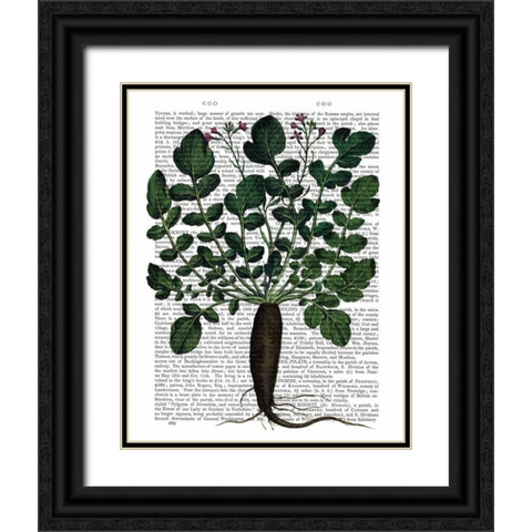 Parsnip 4 Black Ornate Wood Framed Art Print with Double Matting by Fab Funky