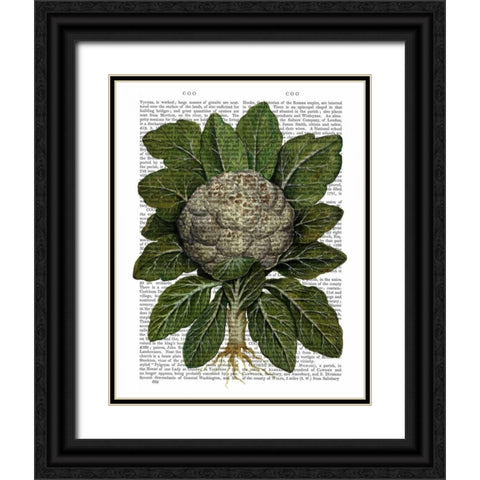 Cauliflower Black Ornate Wood Framed Art Print with Double Matting by Fab Funky