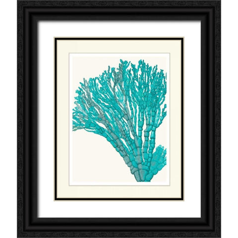 Blue Underwater Scenes 1 f Black Ornate Wood Framed Art Print with Double Matting by Fab Funky