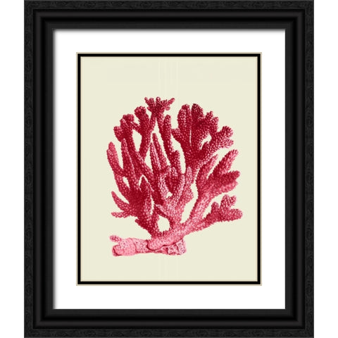 Red Corals 1 a Black Ornate Wood Framed Art Print with Double Matting by Fab Funky