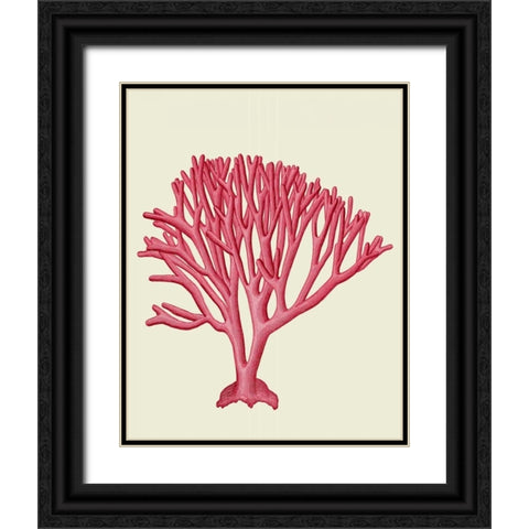 Red Corals 1 c Black Ornate Wood Framed Art Print with Double Matting by Fab Funky