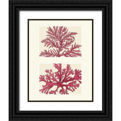 Pink Seaweed print on 2 Panels Black Ornate Wood Framed Art Print with Double Matting by Fab Funky