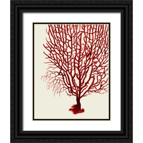 Red Corals 2 b Black Ornate Wood Framed Art Print with Double Matting by Fab Funky