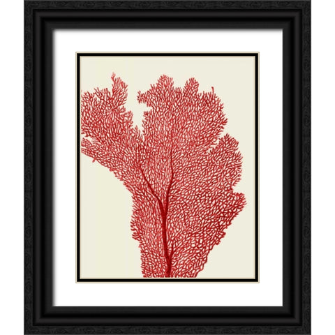 Red Corals 2 e Black Ornate Wood Framed Art Print with Double Matting by Fab Funky