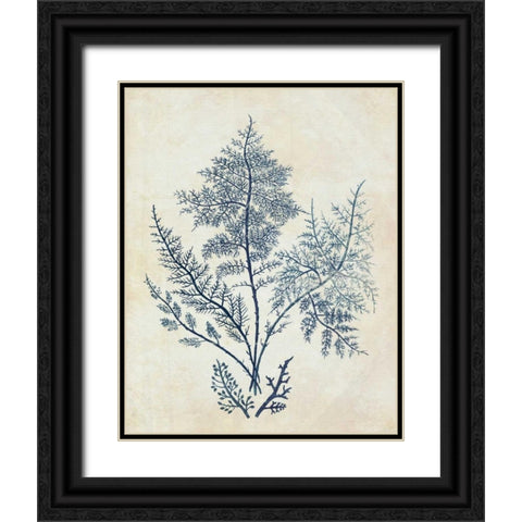 Indigo Blue Seaweed 1 d Black Ornate Wood Framed Art Print with Double Matting by Fab Funky