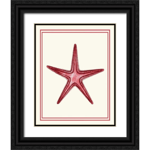 Mixed Nautical Coral on Cream a Black Ornate Wood Framed Art Print with Double Matting by Fab Funky