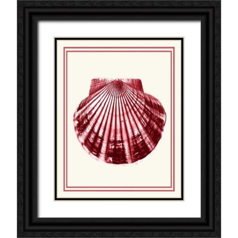 Mixed Nautical Coral on Cream b Black Ornate Wood Framed Art Print with Double Matting by Fab Funky
