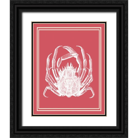 Mixed Nautical White on Coral a Black Ornate Wood Framed Art Print with Double Matting by Fab Funky
