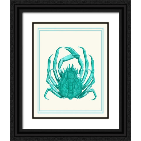 Mixed Nautical Turquoise on Cream b Black Ornate Wood Framed Art Print with Double Matting by Fab Funky