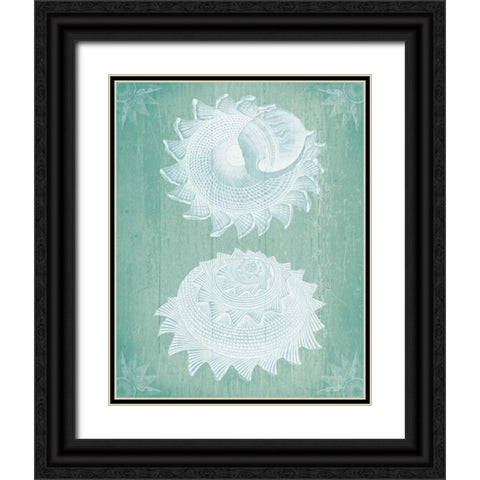 Shells White on Turquoise Black Ornate Wood Framed Art Print with Double Matting by Fab Funky