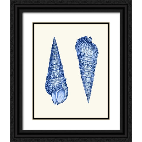 2 Blue Shells a Black Ornate Wood Framed Art Print with Double Matting by Fab Funky