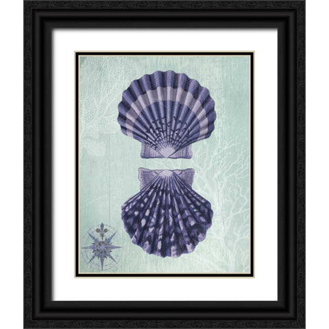 Seashell Collection 2 a Black Ornate Wood Framed Art Print with Double Matting by Fab Funky