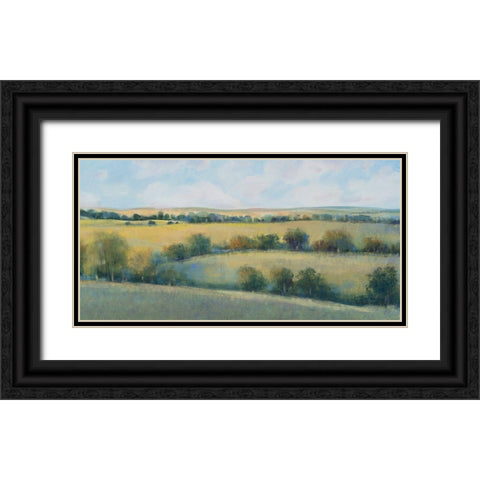 Valley Field II Black Ornate Wood Framed Art Print with Double Matting by OToole, Tim