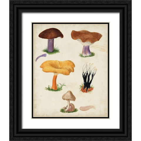 Mushroom Species VII Black Ornate Wood Framed Art Print with Double Matting by Vision Studio