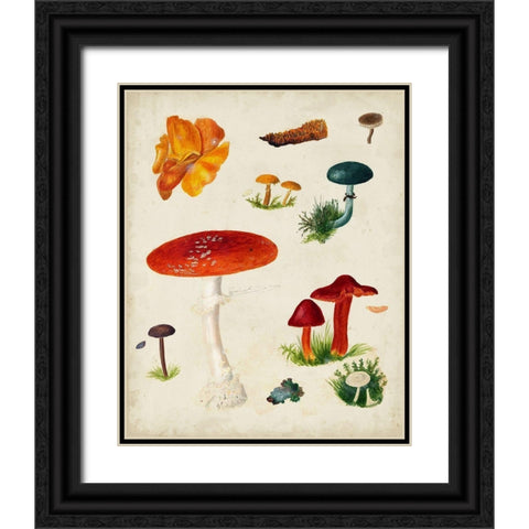 Mushroom Species VIII Black Ornate Wood Framed Art Print with Double Matting by Vision Studio