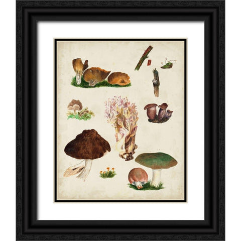 Mushroom Species IX Black Ornate Wood Framed Art Print with Double Matting by Vision Studio