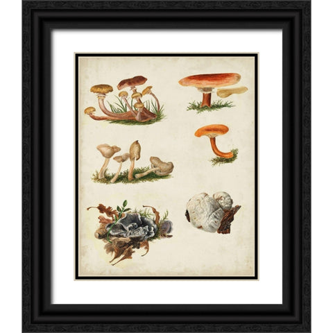 Mushroom Species X Black Ornate Wood Framed Art Print with Double Matting by Vision Studio