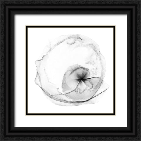 Veiled Illusions II Black Ornate Wood Framed Art Print with Double Matting by Curinga, Kim