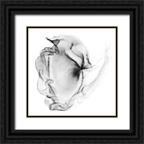 Veiled Illusions III Black Ornate Wood Framed Art Print with Double Matting by Curinga, Kim