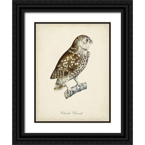French Owls I Black Ornate Wood Framed Art Print with Double Matting by de Langlois