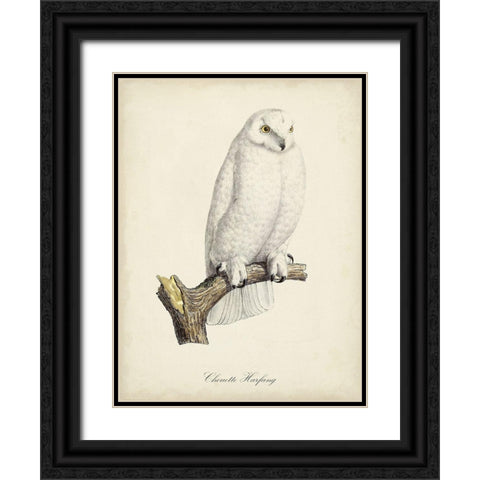 French Owls IV Black Ornate Wood Framed Art Print with Double Matting by de Langlois