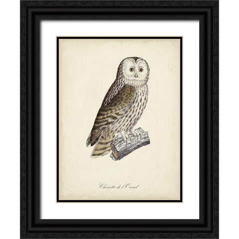 French Owls V Black Ornate Wood Framed Art Print with Double Matting by de Langlois