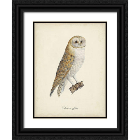 French Owls VI Black Ornate Wood Framed Art Print with Double Matting by de Langlois