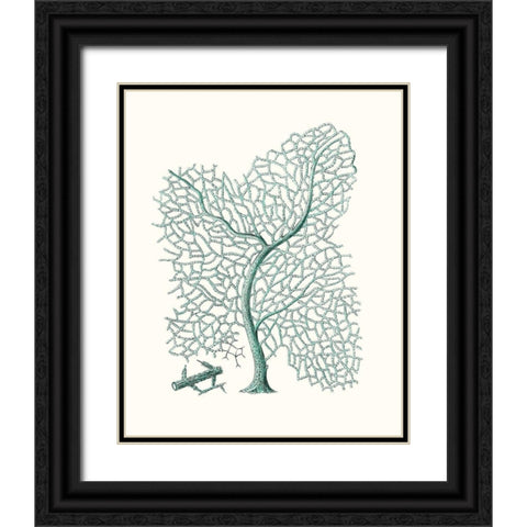 Antique Coastal Coral II Black Ornate Wood Framed Art Print with Double Matting by Esper, Johann