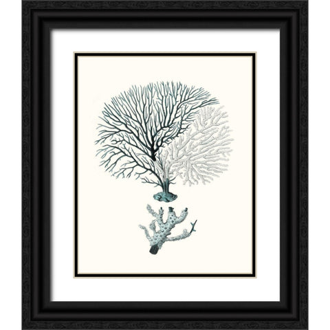 Antique Coastal Coral III Black Ornate Wood Framed Art Print with Double Matting by Esper, Johann