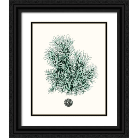 Antique Coastal Coral V Black Ornate Wood Framed Art Print with Double Matting by Esper, Johann