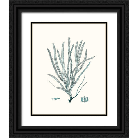 Antique Coastal Coral VII Black Ornate Wood Framed Art Print with Double Matting by Esper, Johann