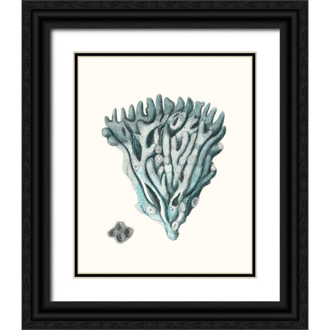 Antique Coastal Coral X Black Ornate Wood Framed Art Print with Double Matting by Esper, Johann