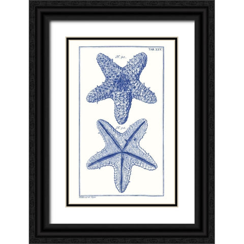 Blue Sea Stars IV Black Ornate Wood Framed Art Print with Double Matting by Vision Studio