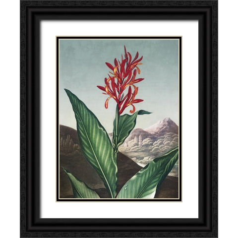 Temple of Flora I Black Ornate Wood Framed Art Print with Double Matting by Thornton, Dr. Robert J.