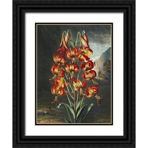 Temple of Flora III Black Ornate Wood Framed Art Print with Double Matting by Thornton, Dr. Robert J.