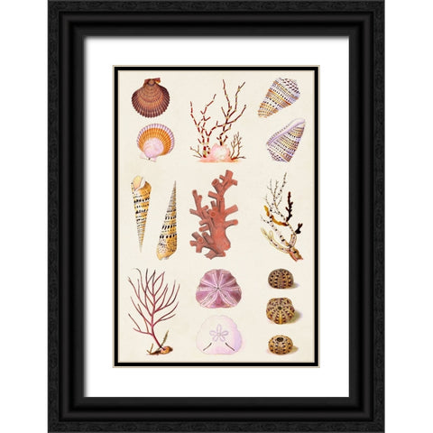 Coral And Shell Collage II Black Ornate Wood Framed Art Print with Double Matting by Vision Studio
