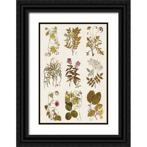Antique Floral Grid II Black Ornate Wood Framed Art Print with Double Matting by Vision Studio