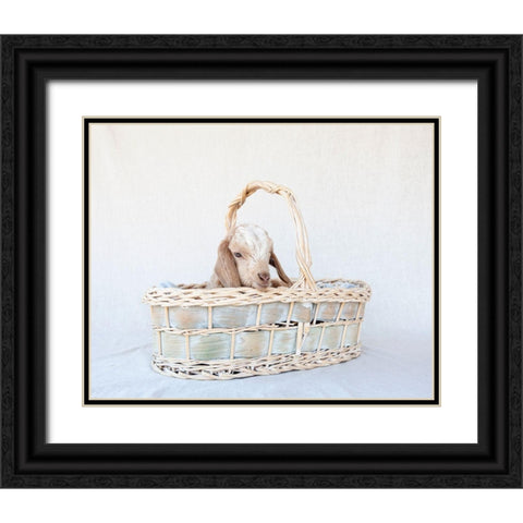 Friday in Basket II Black Ornate Wood Framed Art Print with Double Matting by Soderman, Tania
