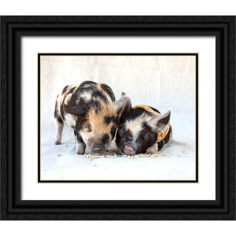 Fiona And Ferdinand II Black Ornate Wood Framed Art Print with Double Matting by Soderman, Tania