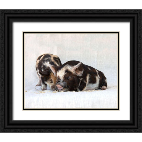 Fiona And Ferdinand III Black Ornate Wood Framed Art Print with Double Matting by Soderman, Tania