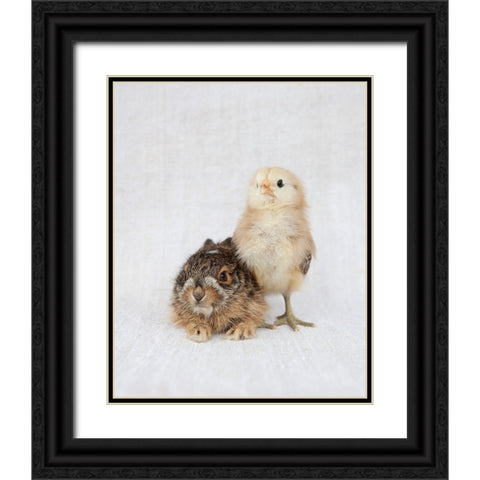 Chick And Baby Rabbit Black Ornate Wood Framed Art Print with Double Matting by Soderman, Tania