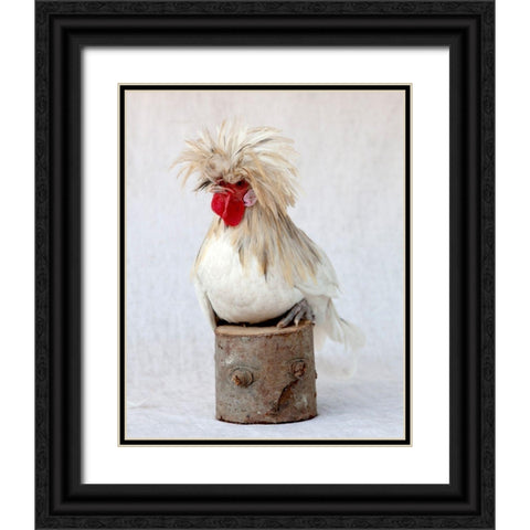 Rod the Rooster I Black Ornate Wood Framed Art Print with Double Matting by Soderman, Tania