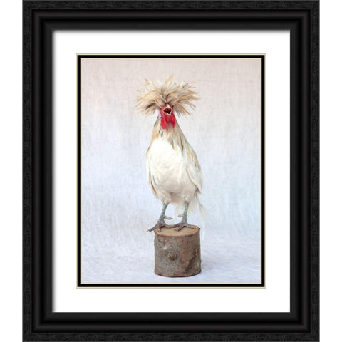 Rod the Rooster III Black Ornate Wood Framed Art Print with Double Matting by Soderman, Tania