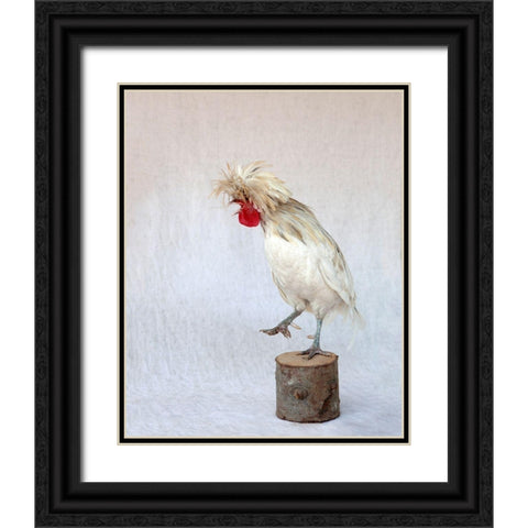 Rod the Rooster IV Black Ornate Wood Framed Art Print with Double Matting by Soderman, Tania