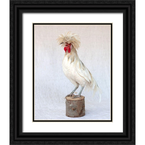 Rod the Rooster V Black Ornate Wood Framed Art Print with Double Matting by Soderman, Tania