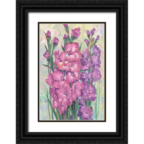 Gladiolas Blooming I Black Ornate Wood Framed Art Print with Double Matting by OToole, Tim
