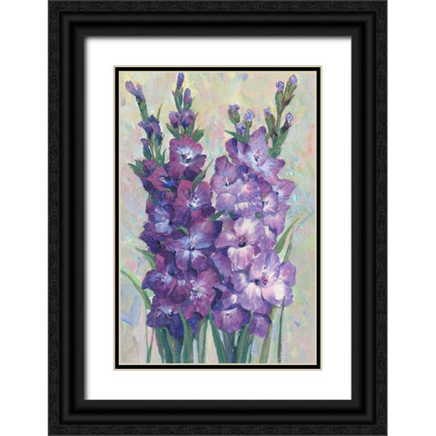 Gladiolas Blooming II Black Ornate Wood Framed Art Print with Double Matting by OToole, Tim
