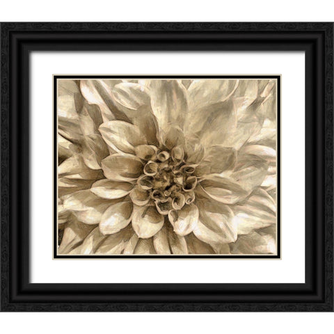 Neutral Wall Flower I Black Ornate Wood Framed Art Print with Double Matting by Saunders, Alonzo