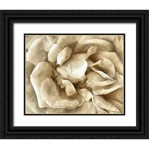 Neutral Wall Flower II Black Ornate Wood Framed Art Print with Double Matting by Saunders, Alonzo