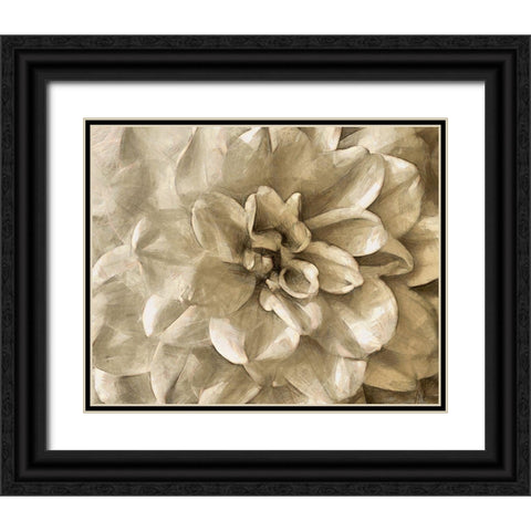 Neutral Wall Flower III Black Ornate Wood Framed Art Print with Double Matting by Saunders, Alonzo